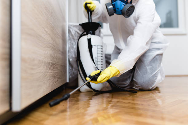 Best Mosquito Control Services  in Sand Hill, PA