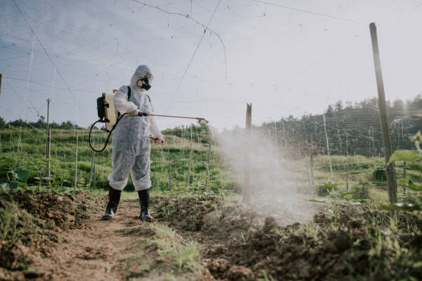 Best Ant Control Services  in Sand Hill, PA