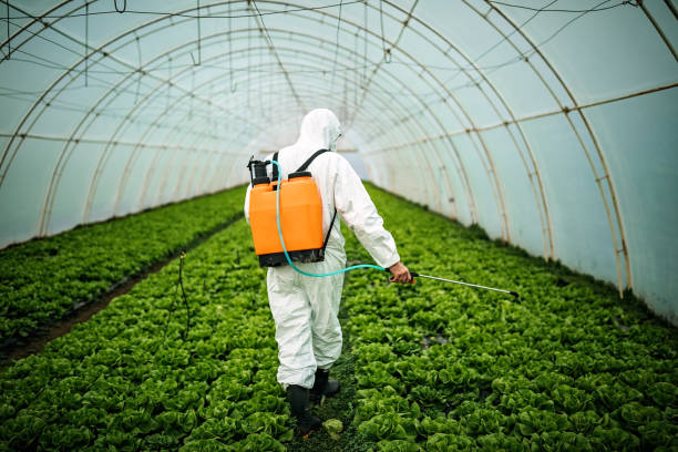 Best Commercial Pest Control Services  in Sand Hill, PA