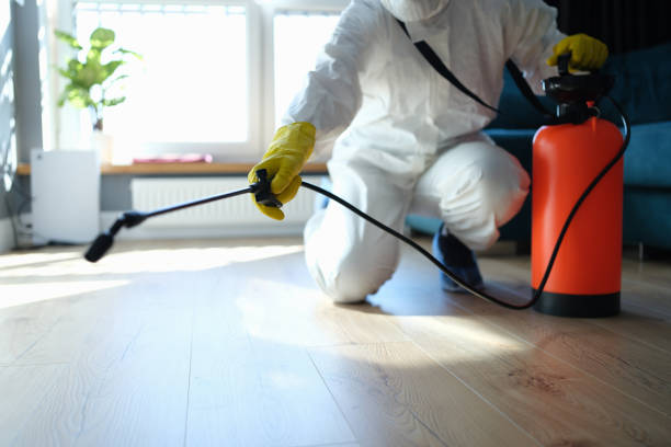 Best Termite Control Services  in Sand Hill, PA