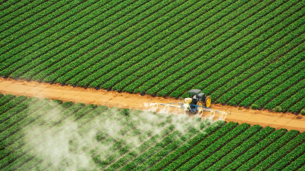 Best Pest Removal Services  in Sand Hill, PA