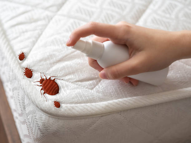 Best Mosquito Control Services  in Sand Hill, PA